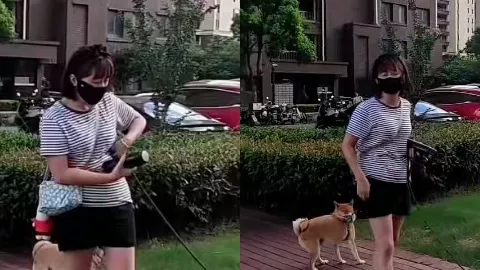 上海遛狗女子