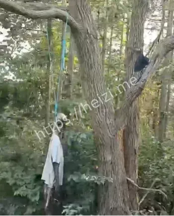 宁波四明山上吊事件现场细节