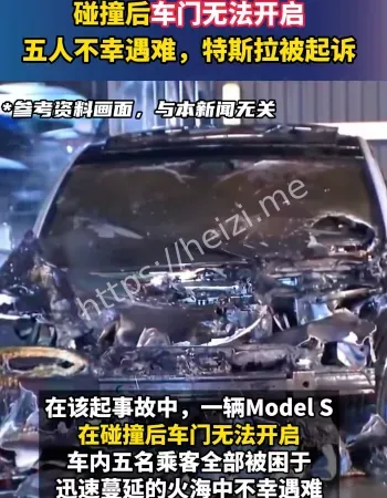 特斯拉5人被烧死
